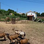 Casa Jasmim, Quinta Carmo - Alcobaca/nazare 公寓 *