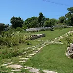 公寓 Casa Jasmim, Quinta Carmo - Alcobaca/nazare